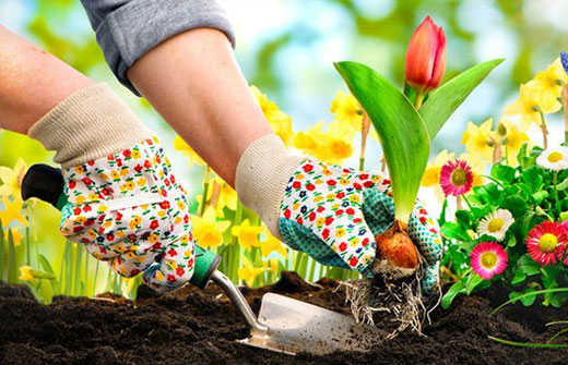 How To Prevent Injuries When Spring Cleaning and Gardening
